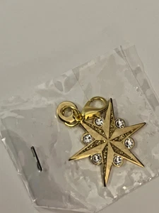 DAR Daughters of the American Revolution Continental Congress 2025 CHARM - NEW - Picture 1 of 3