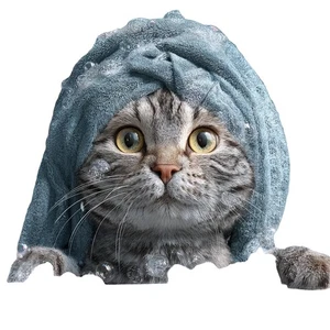Bubbly Bathtub Cat Vinyl Car Decal Sticker – Waterproof & UV-Resistant - Bild 1 von 1