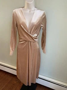 Zara Basics. Blush Velvet Lace. Size: Small. Wedding. Formal. Classy. Leg Slip - Picture 1 of 6
