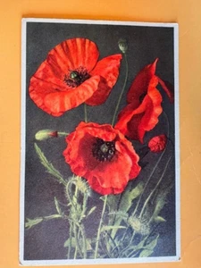 Postcard: Corn-Poppy, vintage, printed in Switzerland, DB unposted - Bild 1 von 2