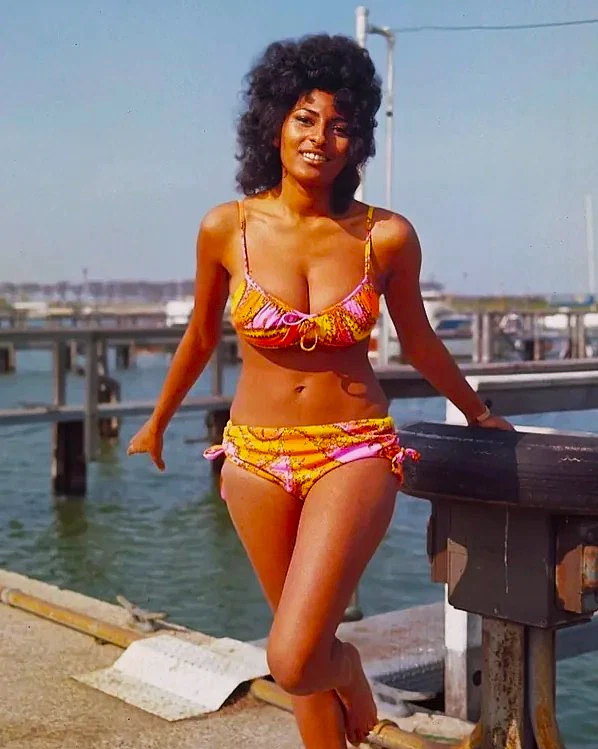 PAM GRIER - REFRIGERATOR PHOTO MAGNET 3"-5" - Image 1 of 1