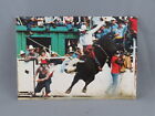 Vintage Postcard - Bull Riding Calgary Stampede - Traveltime