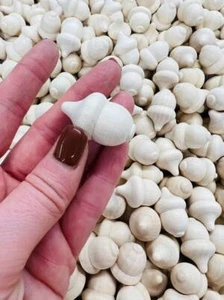 10- Bulk Holz Eicheln unbehandelt Eicheln Waldorf Eicheln Holzeicheln Herbstdeko - Bild 1 von 10