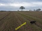 Photo 6X4 A Field Of Stubble Near Upton Cressett Lightwood/So6491 Unlike C2012