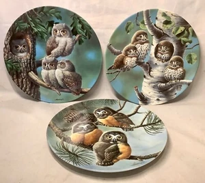 Set 3 piatti da collezione Knowles "Baby Owls of North America" - Foto 1 di 7