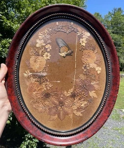 Antique Victorian Pressed Flowers & Butterfly Specimen 19th C. Art Nouveau Frame - Picture 1 of 12