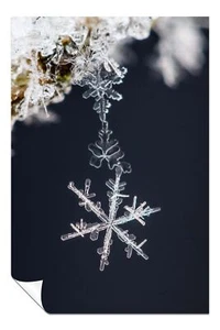 Rime & Snowflake Close Up Artistic Poster Wall Art Home Decor - Bild 1 von 4