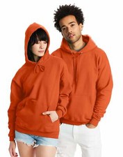 Hanes Mens Hoodie Sweatshirt ComfortBlend EcoSmart Pullover Pockets Drawstring