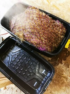 Horse Hay steamer Affordable Equine - Picture 1 of 4