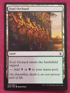 Tarjeta de tierra Magic The Gathering AMONKHET FOUL ORCHARD Magic The Gathering - Imagen 1 de 2