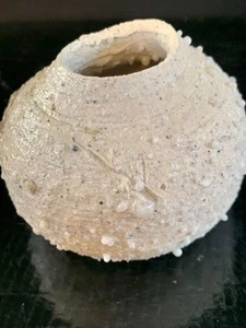 Tsujimura Shiro Shigaraki Small Pot C Small Vase C World-renowned master Shiro - Picture 1 of 9