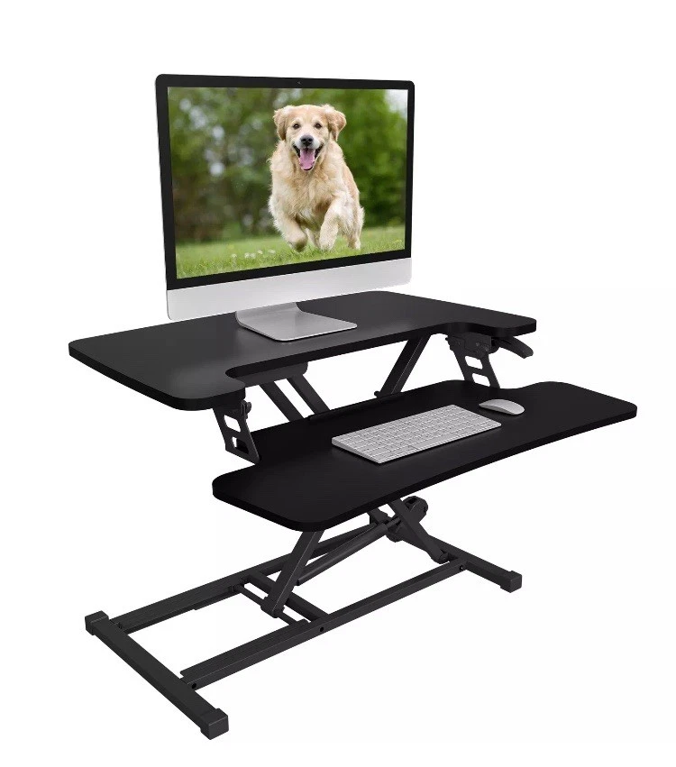 FlexiSpot Standing Desk - Black
