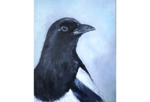 Magpie original oil painting Bird Wildlife Portrait 100% Handmade 9.4x11.8  in - Picture 1 of 6