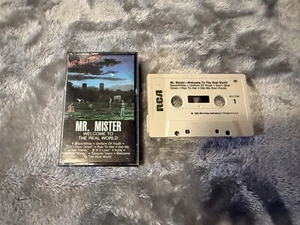 MR MISTER WELCOME TO THE REAL WORLD CASSETTE TAPE - Picture 1 of 6