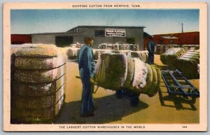 Memphis Tennessee 1940er Postkarte Baumwollkompresse und Aufbewahrungsballen - Bild 1 von 2