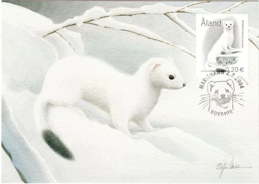 Ermine Endangered Animal Winter Aland Island Finland Maxi FDC 2004 - Image 1 of 1