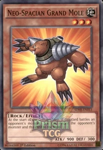 1st Ed Neo-Spacian Grand Mole SDHS-EN013 Yugioh - Picture 1 of 1