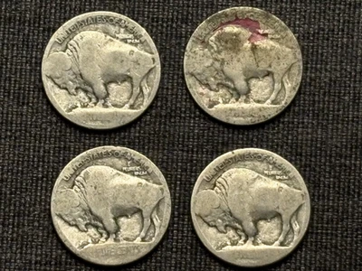 Four 1913-P Type 1 (on mound) Buffalo Nickels - Original Circulated Condition - Image 1 of 2