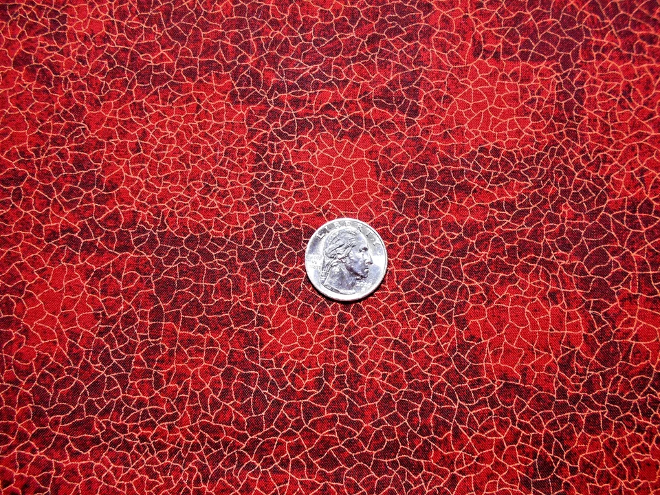 MODA PRINTS  with #605 RED & BLACK CRACKLE " BTY - Image 1 of 1