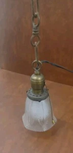 Antique Brass Single Light Fixture With Pull Chain Switch ( Plugs In ) - Picture 1 of 8