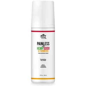 USA SELLER ...NEW ETERNAL PAINLESS PAIN RELIEVING CREAM NEW REINFORCED 4 FL OZ - Picture 1 of 8