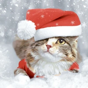 Paper + Design Luncheon Napkins -Kitten Christmas - Picture 1 of 1