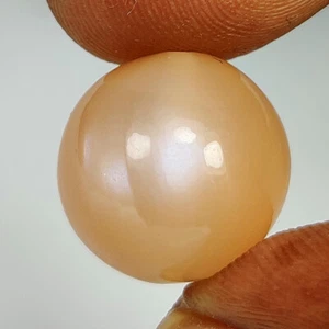 10.73 Ct ~ Natural Stunning Orange Moonstone Jumbo Size Round Drilled Beads -A92 - Picture 1 of 2