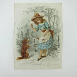 Carta commerciale vittoriana Russell & Co Massillon Ohio motori agricoli trebbie ragazza cane - Foto 1 di 12