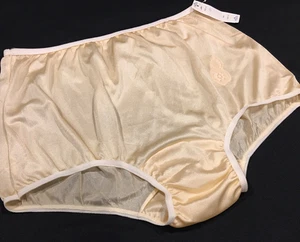 Vtg Fair Peach Double Nylon Full Granny Panty Panties 10 USA - Picture 1 of 5