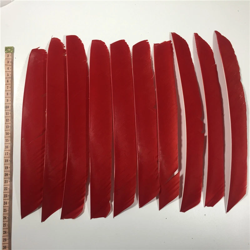 50pcs Multicolor Full length Fletches Feather Fletching RW - Image 1 of 1
