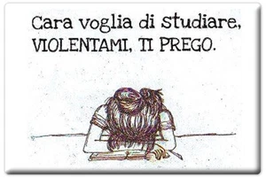MAGNETE RETTANGOLARE CALAMITA FRIGO FRIDGE MAGNET SCUOLA COMPITI STUDIO - Picture 1 of 1