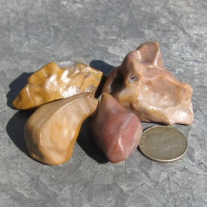 4 piezas Ventifactor natural de piedra Gobi/jaspe para Bonsai Suiseki pj225 - Imagen 1 de 4