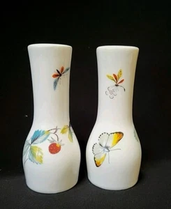 Royal Worcester Porcelain Salt & Pepper Shakers STRAWBERRY FAIR Pattern England - Picture 1 of 13