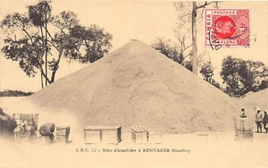 Gambia - KUNTAUR (spelled Kontaour) - Peanut stock - Publ. C.M.C. 32 - Picture 1 of 2