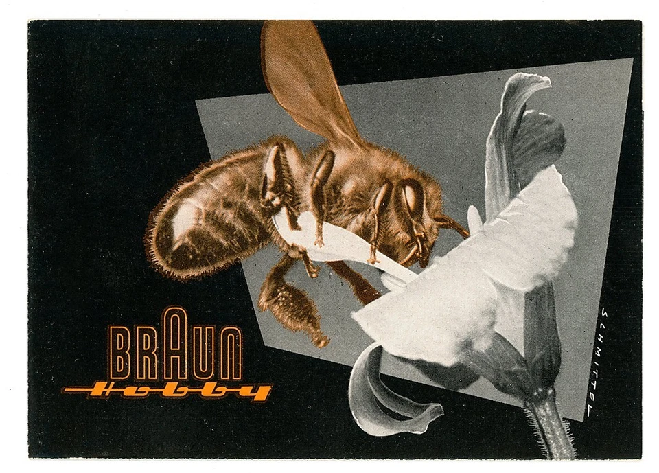 MAX BRAUN Prospekt BRAUN HOBBY Blitzgerät BLITZ Blitzlicht Broschüre (Y151 - Bild 1 von 1