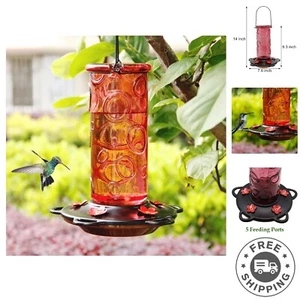 Charming 28 oz Glass Hummingbird Feeder with Built-In Ant Moat and Metal Hanger - Picture 1 of 10