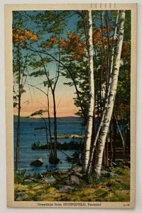 Grüße aus Springfield Vermont Postkarte 1943 Leinen malerischer Birkensee - Bild 1 von 2