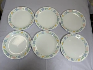 Corelle Friendship Dinner Plates 10 1/4" (Set of 6) - Picture 1 of 14