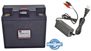 SHORAI Xtreme-Rate Lithium Battery w/CHARGER # LFX36L3-BS12 - Picture 1 of 1