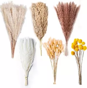 100PCS Dried Pampas Grass Bouquet - 17.5" Fluffy Boho Wedding & Home Decor - Picture 1 of 16