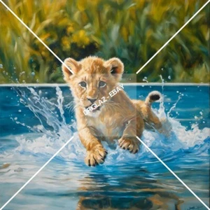 Lion in Pool Digital Image Picture Photo Background Desktop Wallpaper Design Art - Picture 1 of 3