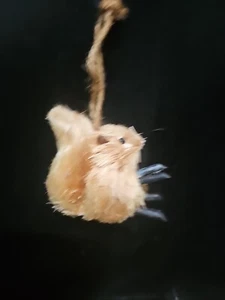 Waldtier Flaschenbürste Eichhörnchen Ornament Handarbeit Strohhalm süß - Bild 1 von 5