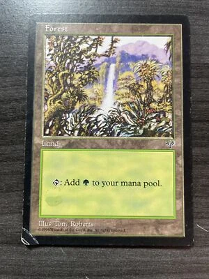 Magic the Gathering MTG Forest (348) Mirage - Image 1 of 2