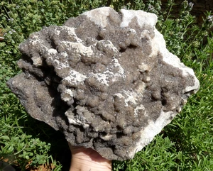 XXL Selten Rauchquarz Stechpalmen 16x4,5cm Frankreich Mineral Sammlung Reiki Stein - Bild 1 von 13