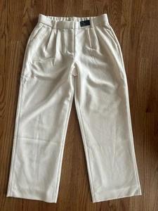 Abercrombie & Fitch 29/8 Curve Love Quinn Tailored Pleated Pant Cream NEW w/TAGS - Picture 1 of 7