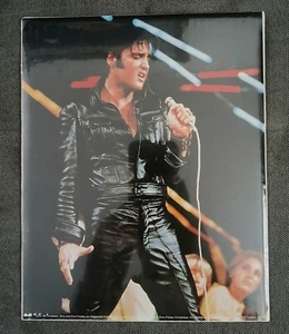 8 x 10 Elvis Presley Portrait Photograph Art Print ( Mint ) - Picture 1 of 3