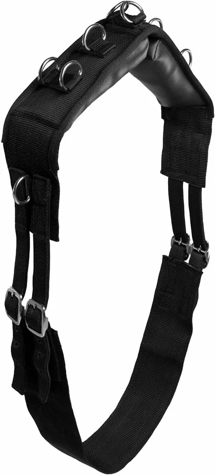 Lunging Surcingle for Horses | Nylon Roller for Training - Image 1 of 1