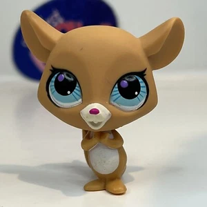 ARDILLA #3068 - Auténtica tienda de mascotas Littlest - Hasbro LPS - Imagen 1 de 4