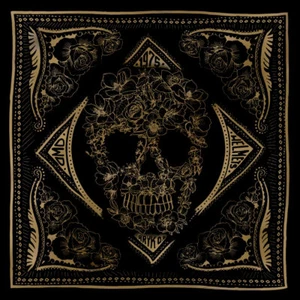 Scaldacollo Moto DMD Tube Buccaneer Cotone - Picture 1 of 2