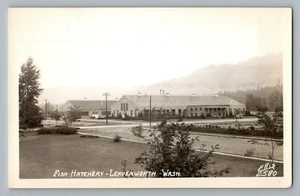 Leavenworth Washington WA Fish Hatchery Real Photo Postcard RPPC 1950- - Picture 1 of 2